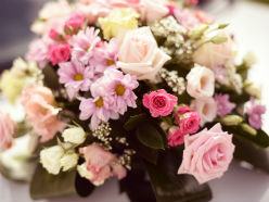 OSC’s John Mountain passes away