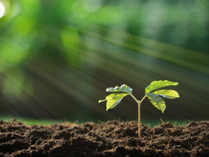 Tap new client pools to make your mark