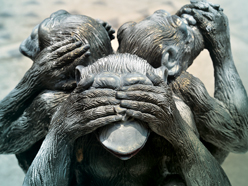 When investment tips seem too good to be true