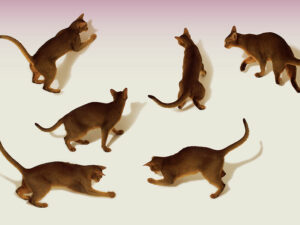 Should your client consider a copycat annuity?