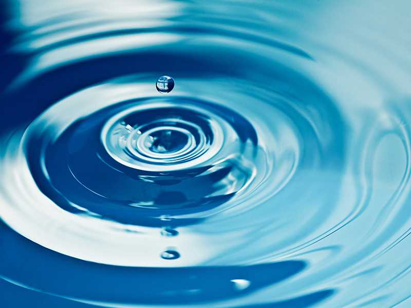 Water drop making a ripple on the surface