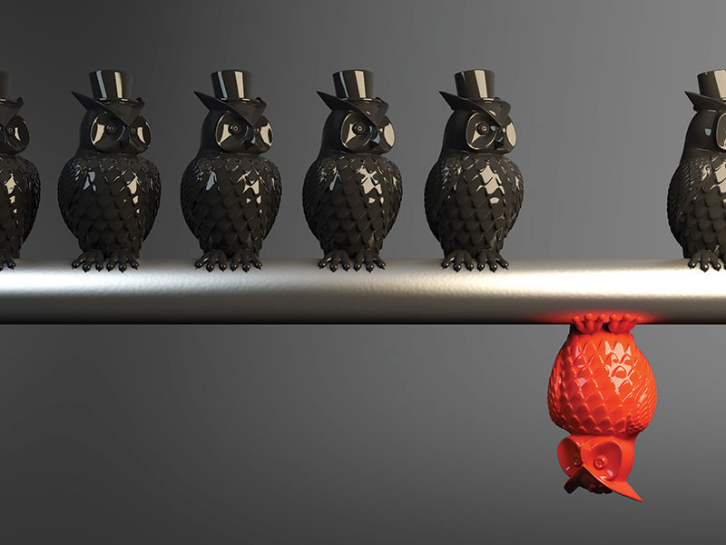 owls-different alternate text for this image