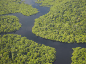 Mackenzie launches sustainable funds