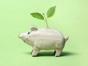 How advisors can incorporate sustainable investing