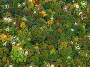 Finding ESG opportunities in a difficult market