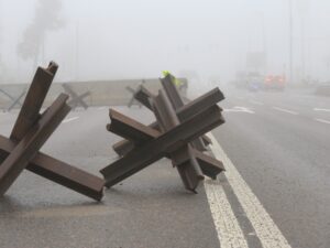 Global economy needs peace in Ukraine: OECD