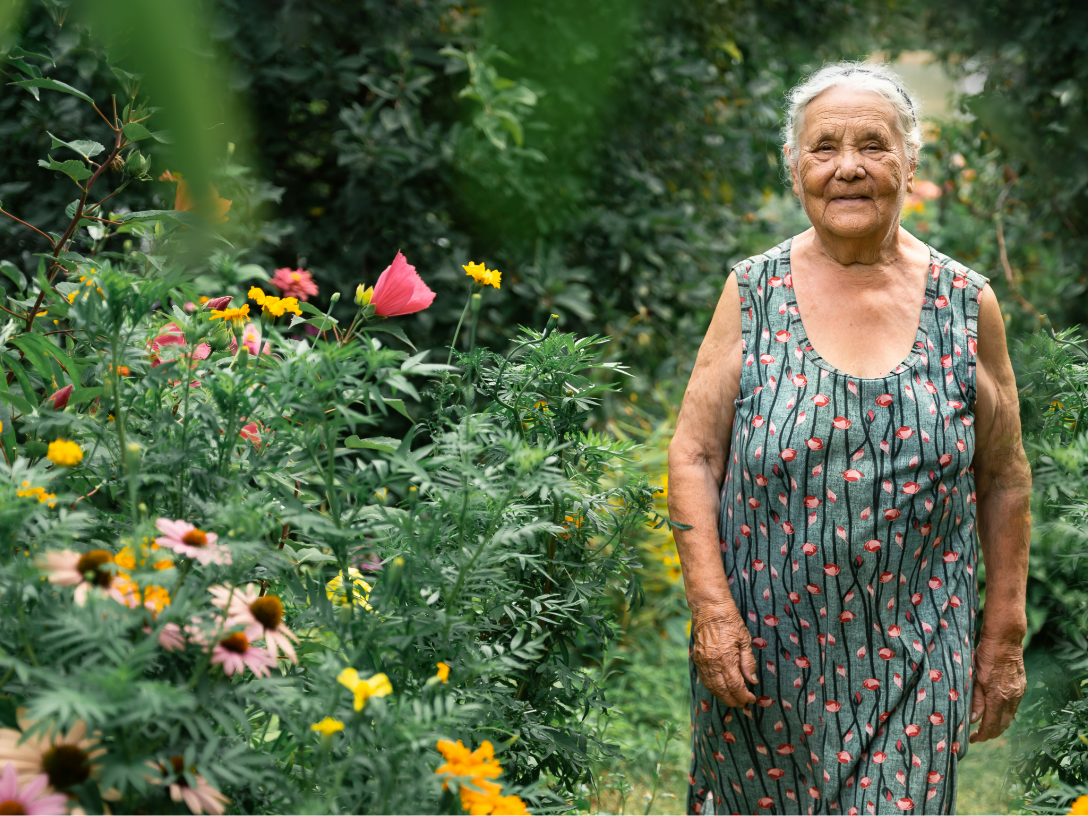  alternate text for this image