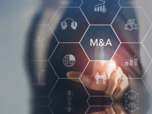 Mega deals drive robust M&A: Crosbie & Co.
