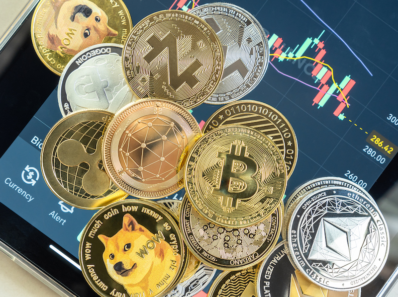  alternate text for this image