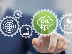 Canada to launch 6th green bond issuance