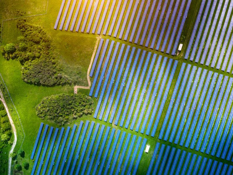  alternate text for this image