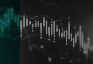 Portfolio Positioning amid Rate Cuts and Market Risks