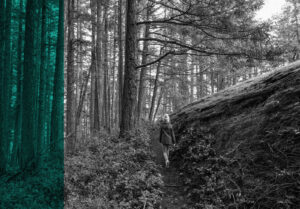 Has the Bank of Canada cut too deep?