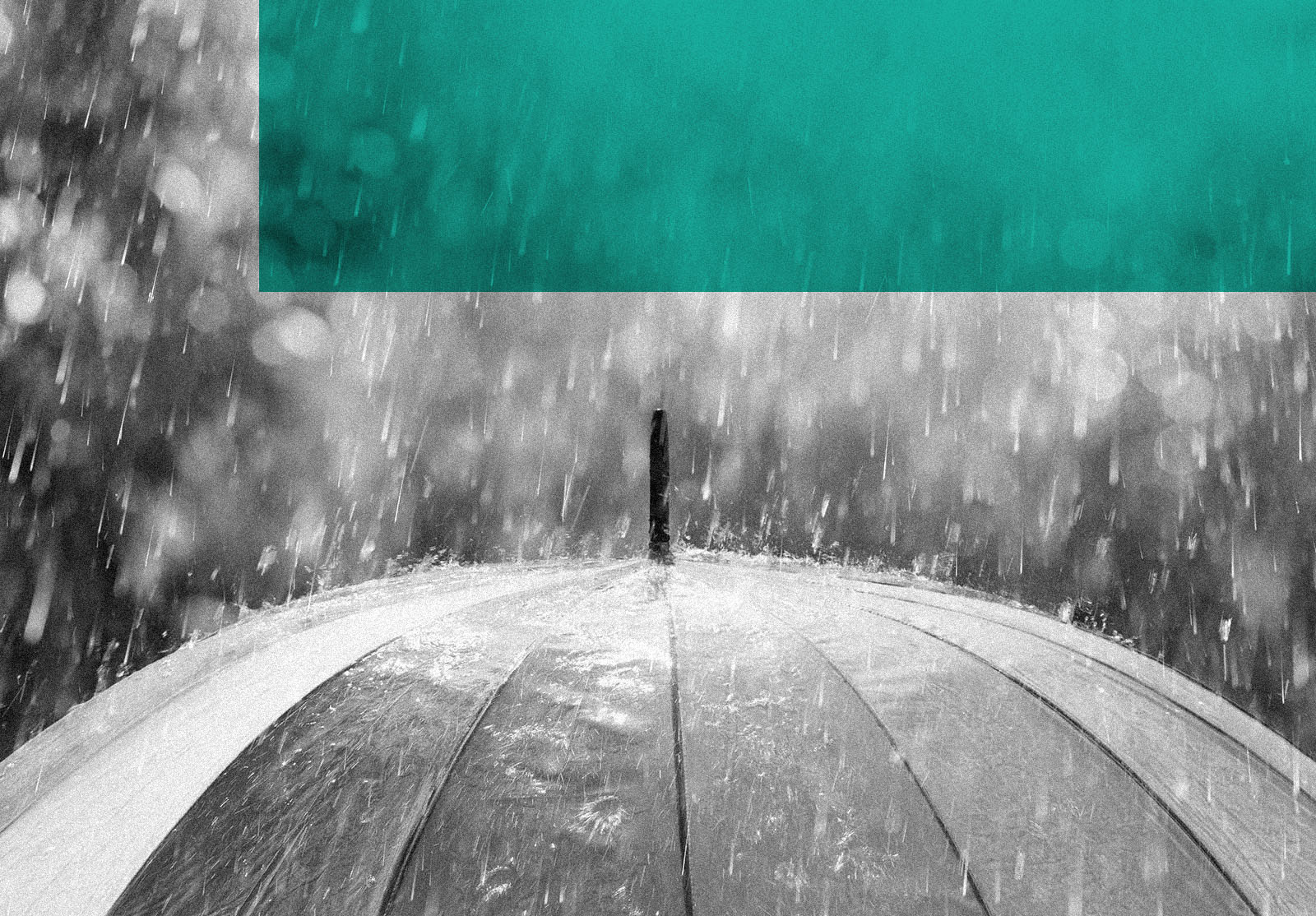 Umbrella in the rain