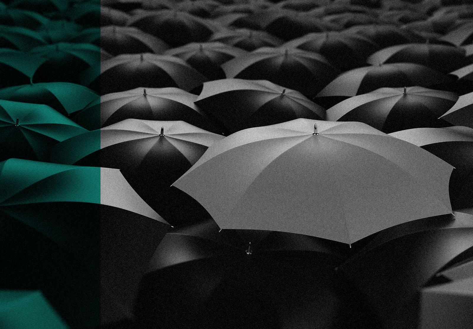 3d rendering of a sea of umbrellas