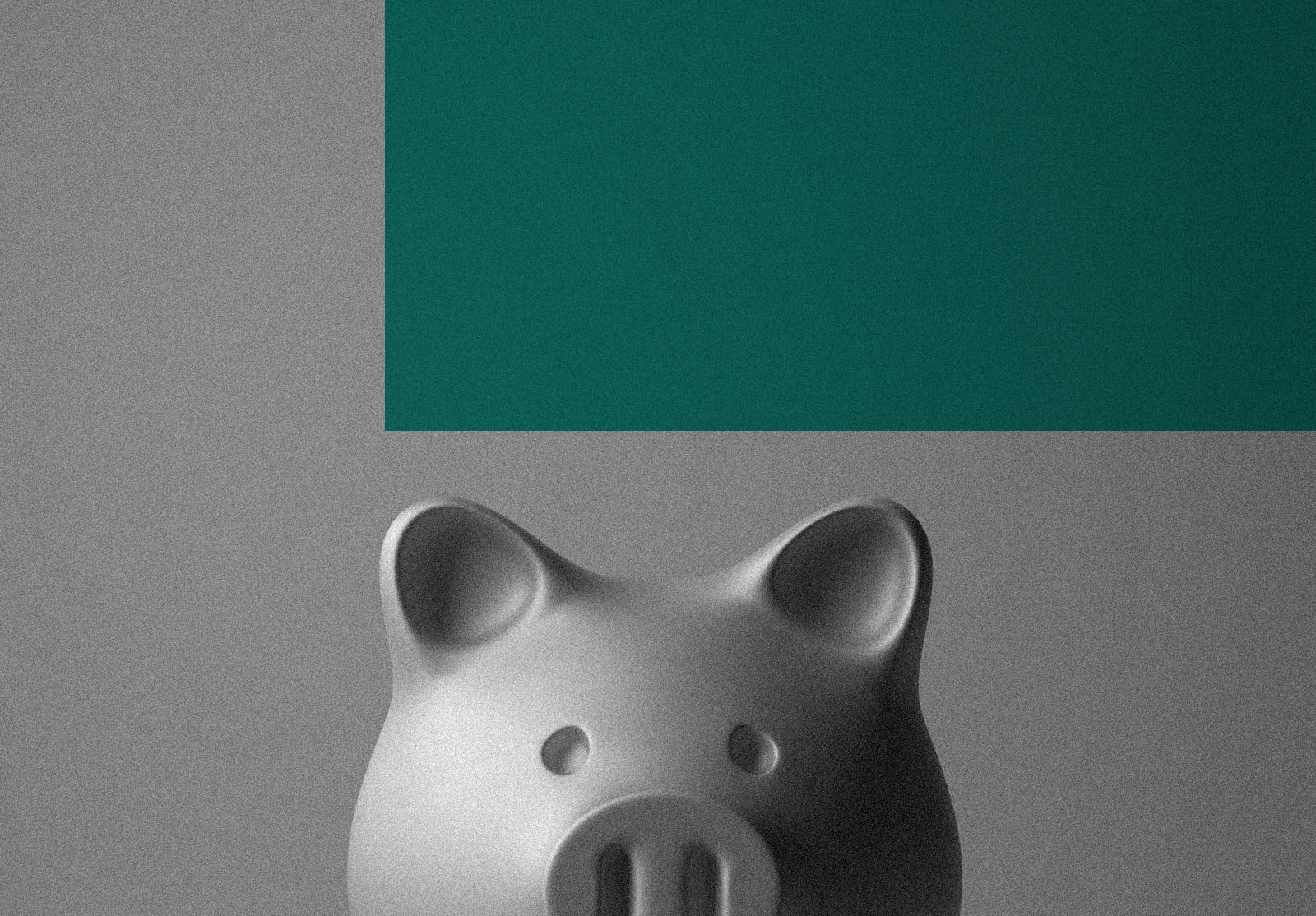 Close up portrait of piggybank looking at camera