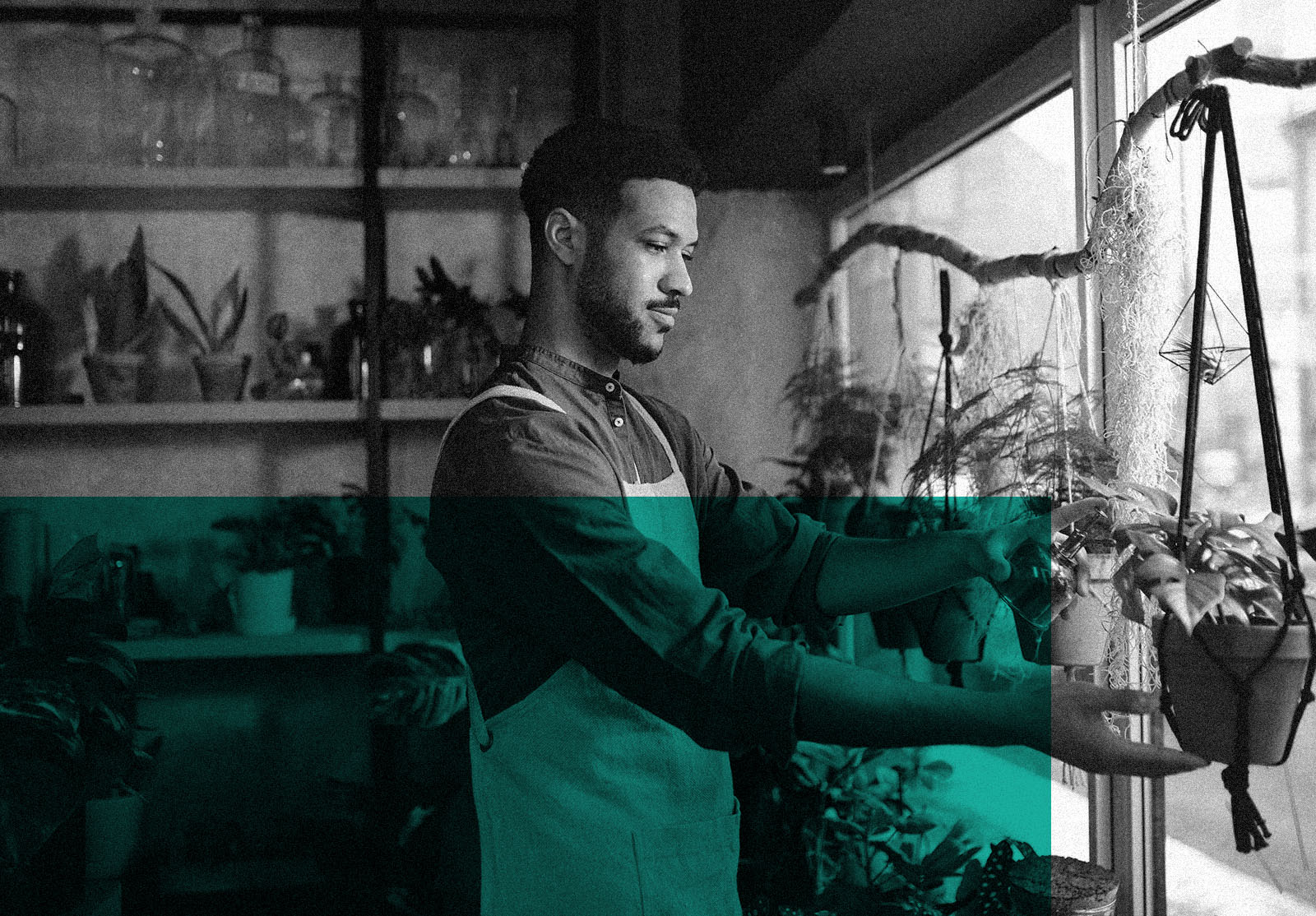 Man working in indoor potted plant store