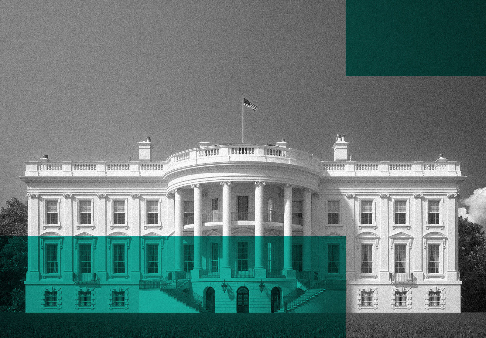 The White House, Washington DC