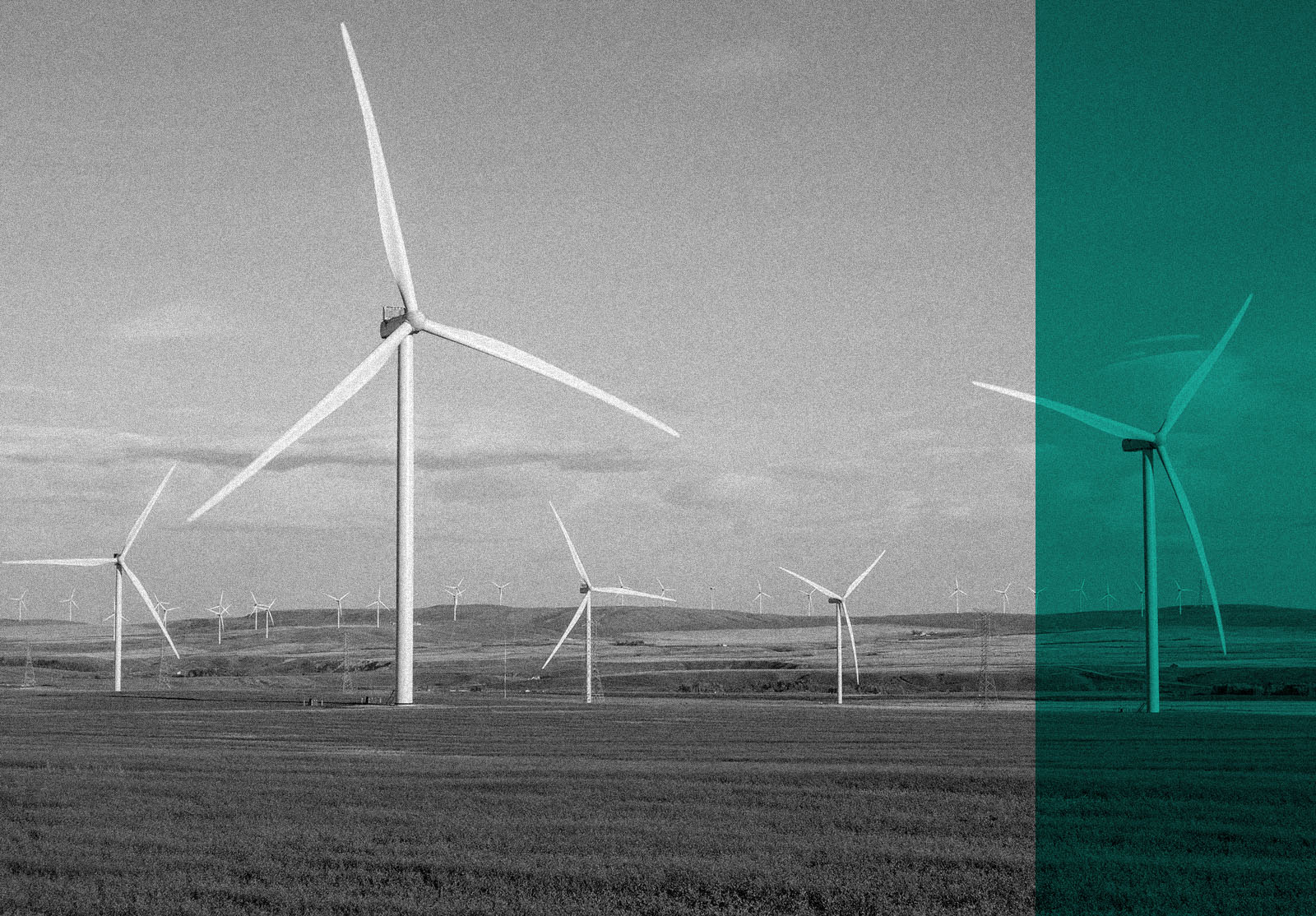 Wind turbines in a field