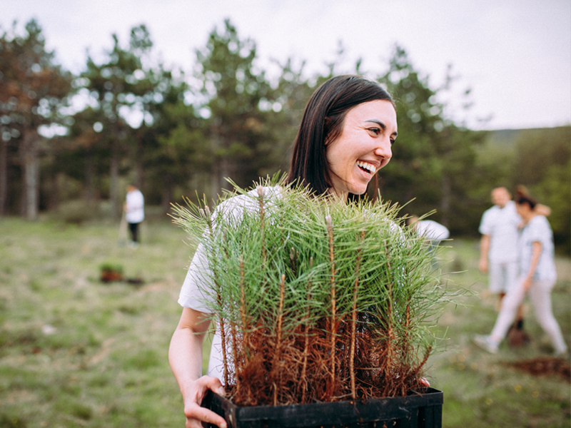 IMG_Hero_Article_ESG_800x600 alternate text for this image