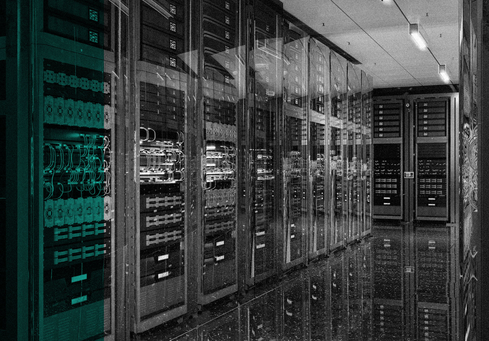 2507-quantic69-ADVISOR alternate text for this image