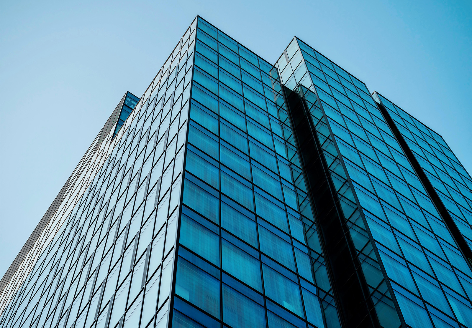 Windows of a tall office building