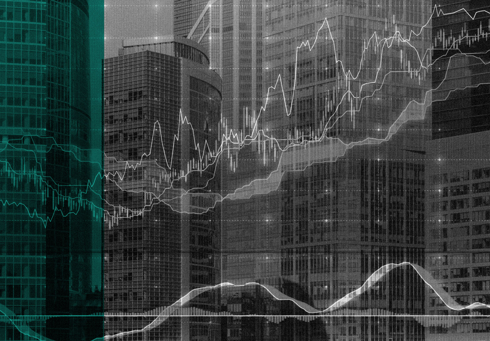 2525-Image-Advisor-ismagilov alternate text for this image