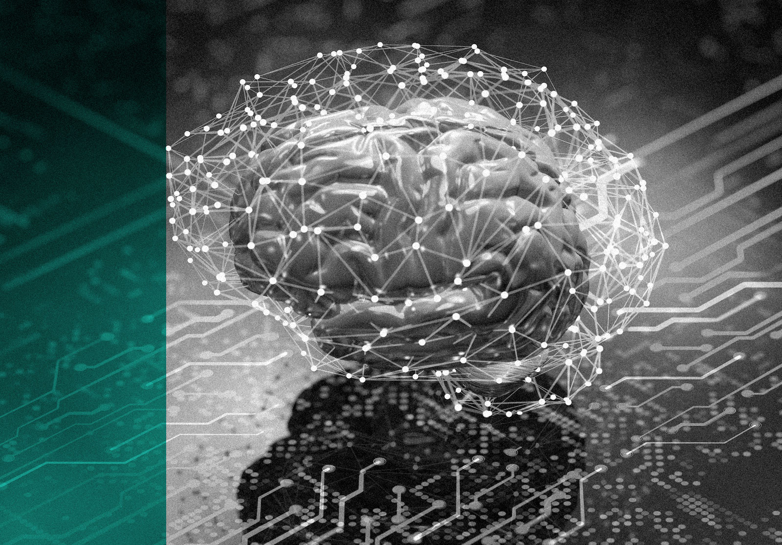 2526-Image-ADVISOR-MF3d alternate text for this image