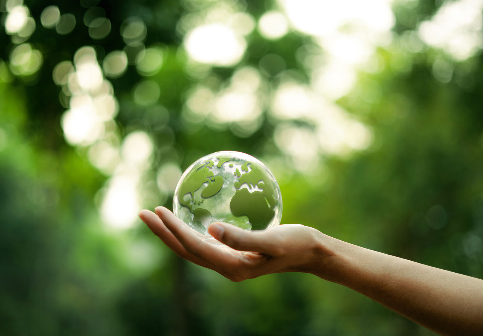Hand holding a glass globe