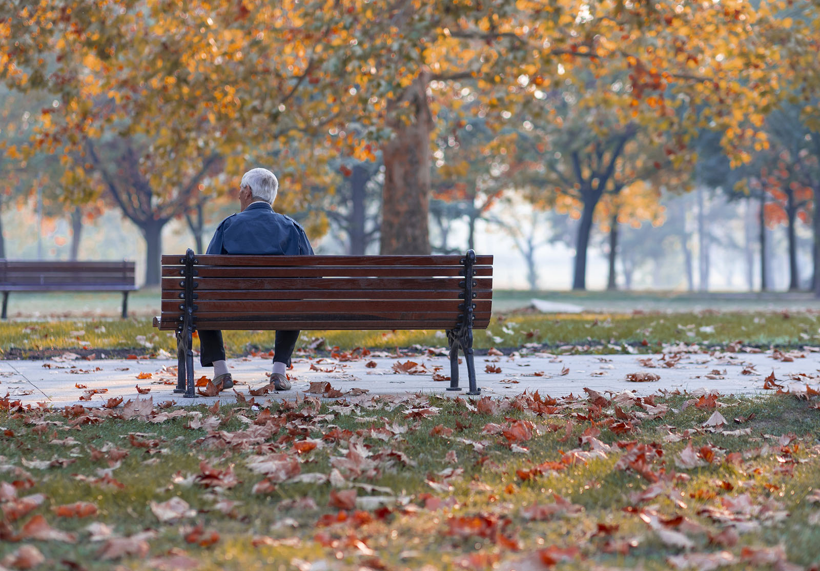 Lonely Senior Old Man Sitting on Bench in Park