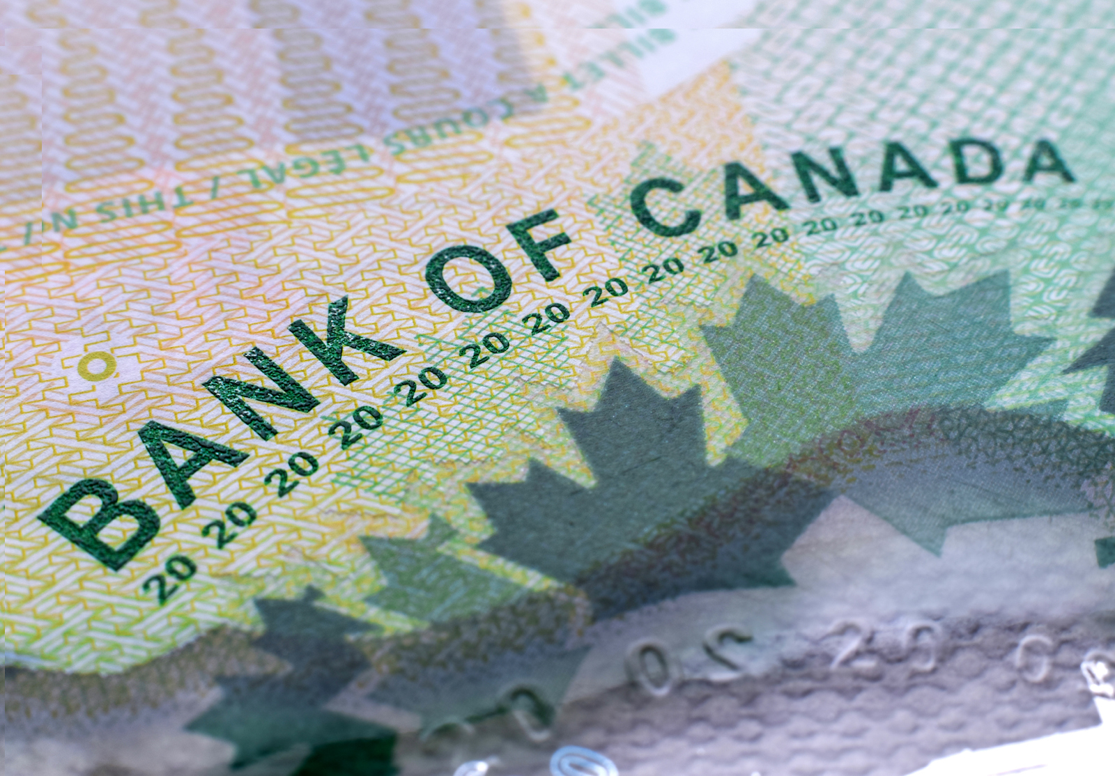 Closeup macro Bank of Canada words on a green 20 dollar Canadian money bill alternate text for this image
