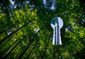 Greenwashing rules to be scaled back, but scope of change remains unclear