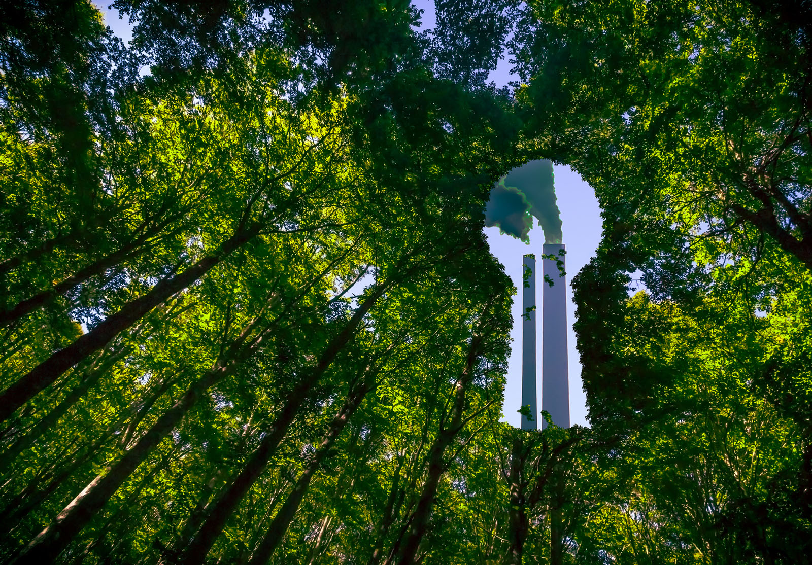 Greenwashing Concept